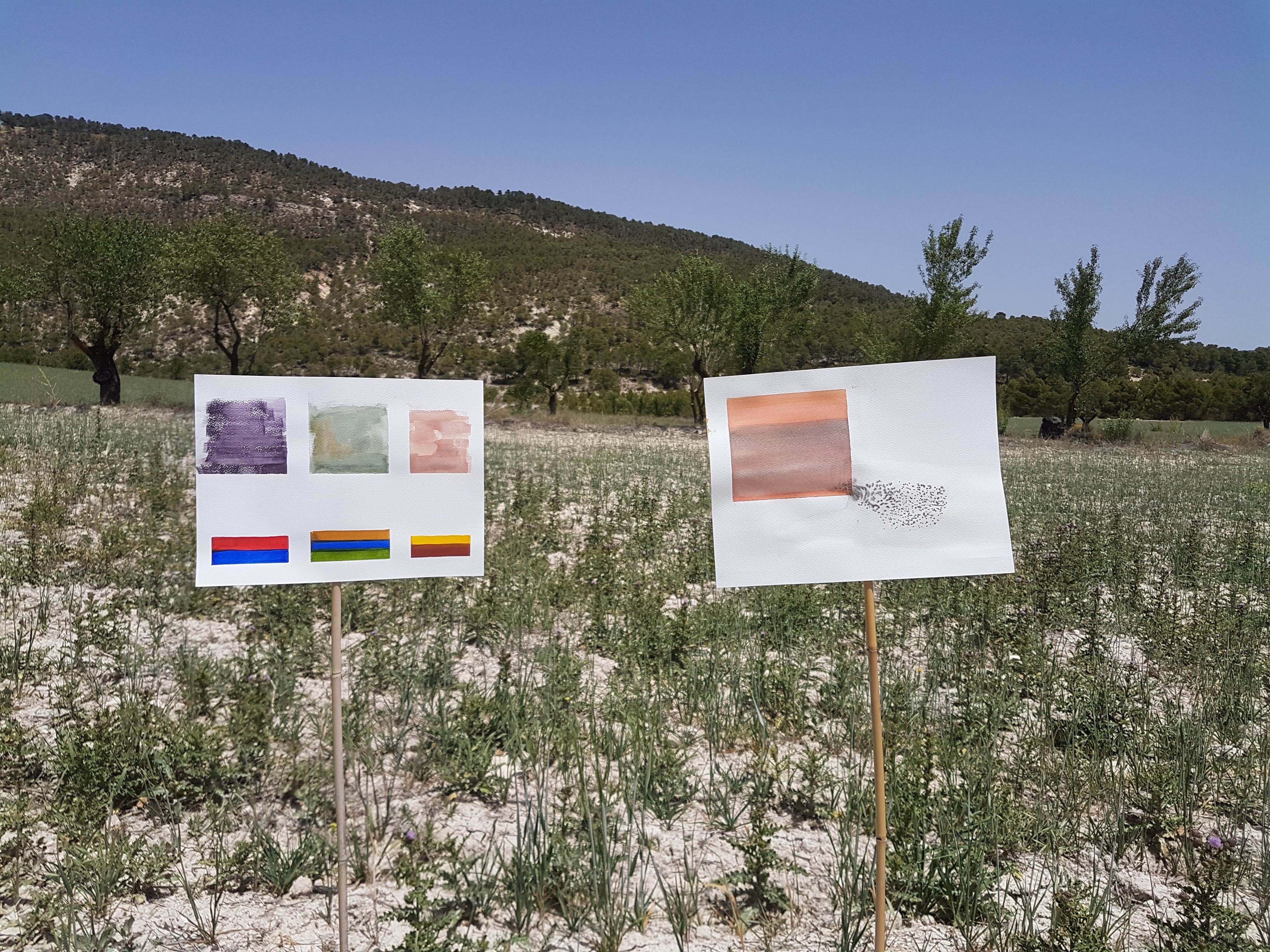 Two works on paper staked in a field below a pine-covered hill at Joya: AiR, 2018.